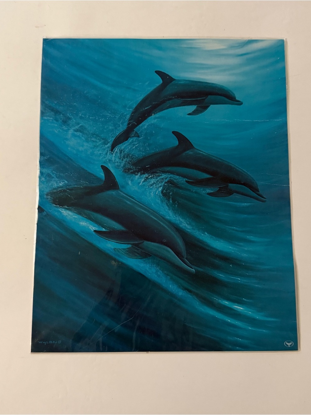 Wyland Faster Higher Stronger 8” X 10” Fine Art Print 2008 Dolphins Trio